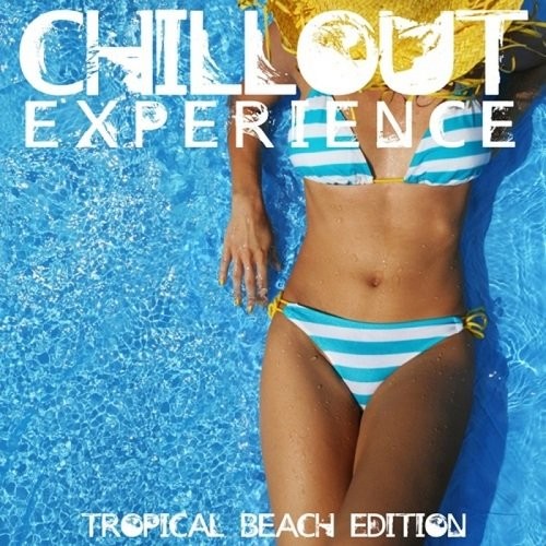 Chillout Experience (2013)