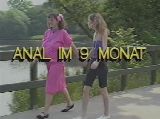 [Pregnant] Anal Im 9. Monat /   9-  (Fin Hansen, Seventeen or Videorama) [1990 ., Pregnant, Group, Outdoor, Lesbian, Hardcore, All Sex, VHSRip, 528p]