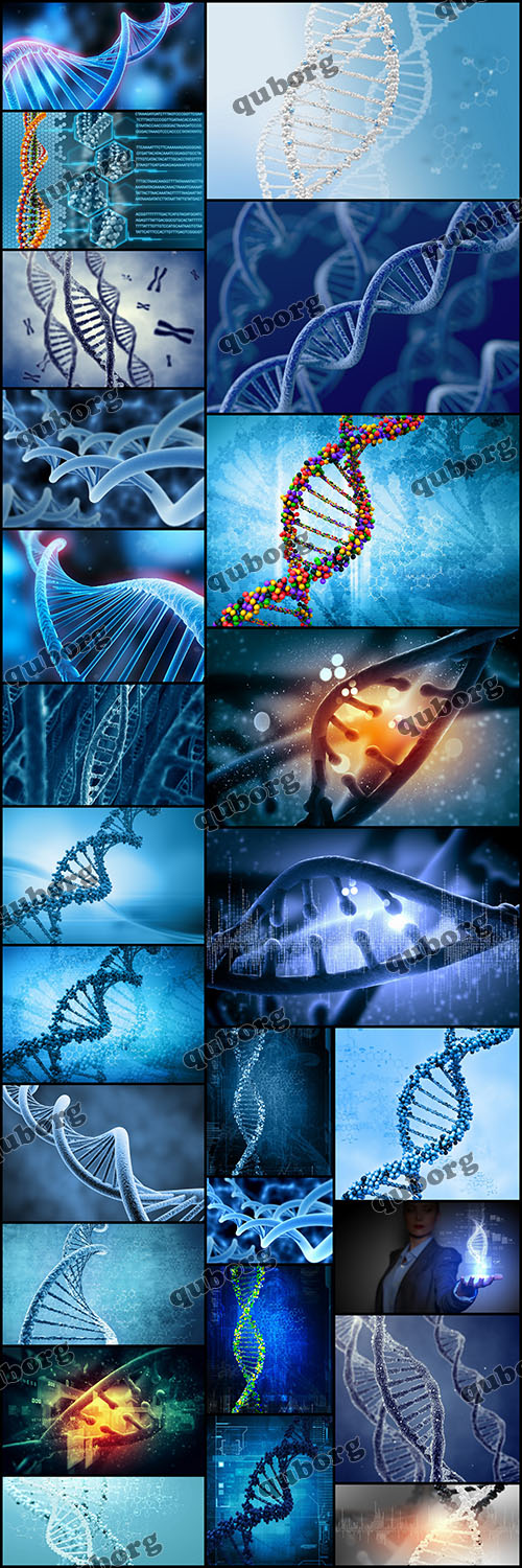 Stock Photos - DNA Collectoin