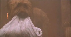 Главная собака / Top Dog (1995 / DVDRip)