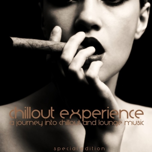 VA - Chillout Experience (2013)