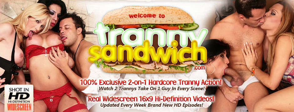 [TrannySandwich.com / Tranny.com] (22 )   -   -  HD 1280x720 [2009-2011 ., Brazil, Transsex, Orgy, Threesome, Oral, Anal, SiteRip, 720p]