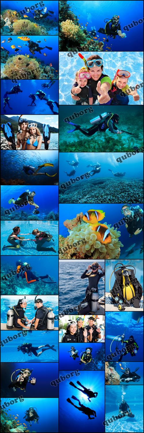 Stock Photos - Diving Collection