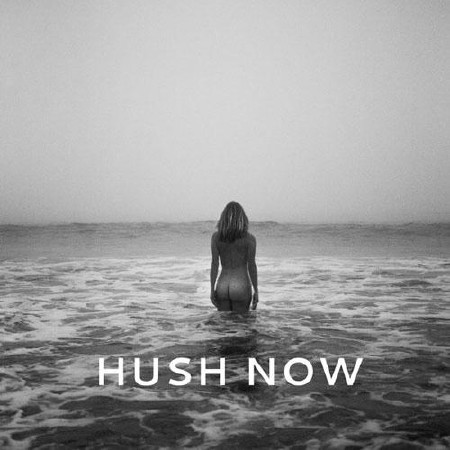 Sunny Levine - Hush Now  (2013)