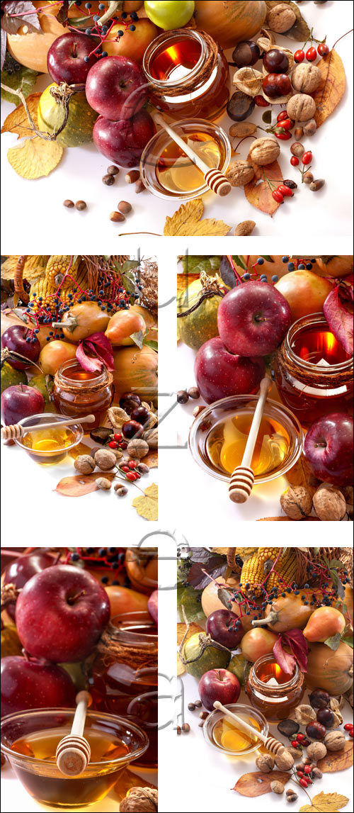 Red apple and honey - stock photo