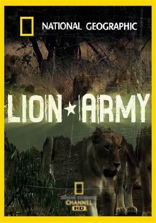   / Lion Army (2007) HDTVRip 1080p