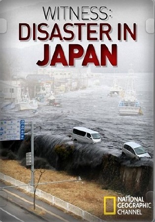    / Witness : Disaster in Japan (2011) HDTVRip 1080p