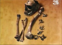 Археологія. У пошуках неандертальців / Archaeology. The Search for Neanderthal (1992) SATRip 