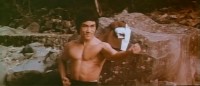    / The Real Bruce Lee (1973) DVDRip