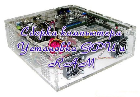 Сборка компьютера Установка GPU и RAM (2013)