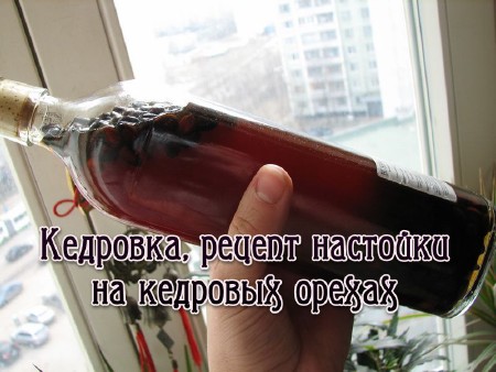 Кедровка, рецепт настойки на кедровых орехах  (2013)