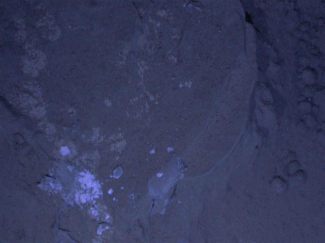Первые ночные снимки марсохода Curiosity.