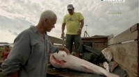 Discovery.  .    / Discovery. River monsters (2013) IPTVRip