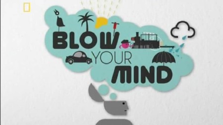   / National Geographic: Blow Your Mind (2013) PDTVRip