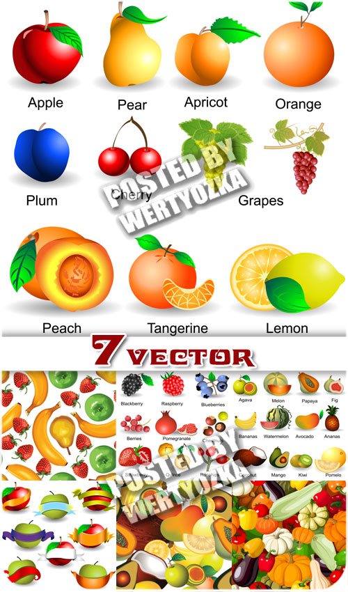   ,  / Fruits and vegetables backgrounds - stock vector