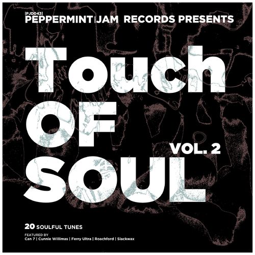 VA - Touch of Soul, Vol. 2 - 20 Soulful Tunes (2013)