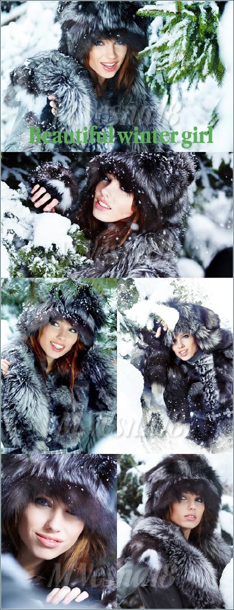   ,   ,   / Beautiful winter girl dressed in fur, raster clipart