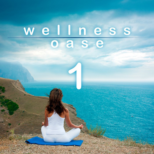 VA - Wellness Oase Vol 1 (2013)