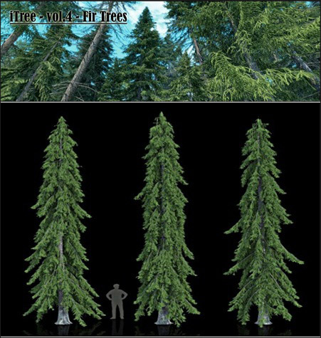 [3dMax] R&D Group iTrees vol 04 Fir Trees