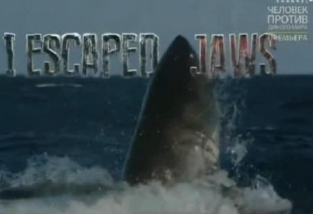    / I Escaped Jaws (2013) IPTVRip