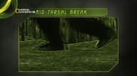  / Bigfoot revealed (2009) HDTVRip