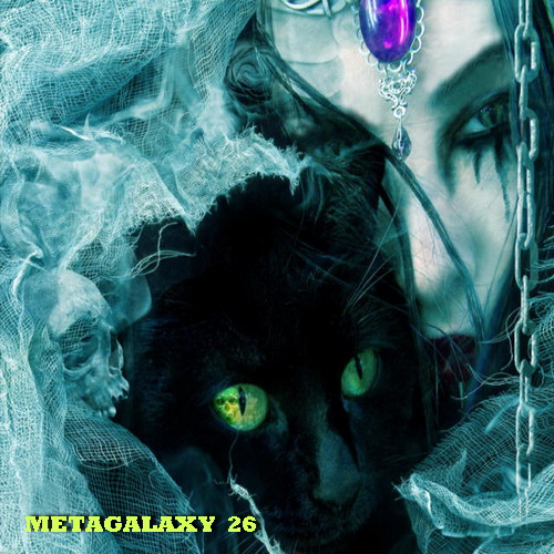 VA - Metagalaxy 26 (2013)