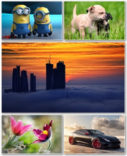Best HD Wallpapers Pack №1100
