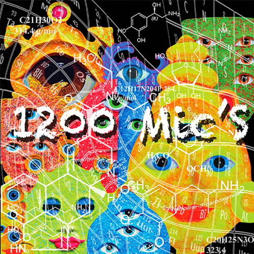 1200 Micrograms - 1200 Mic's (2013)
