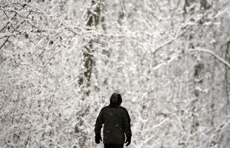 В Латвии около 30 тыс. человек остались без электричества из-за снегопада