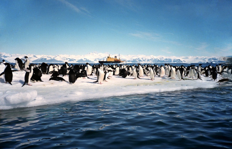 В Антарктиде зафиксирован рекорд самой низкой температуры на планете - минус 94,7 градуса