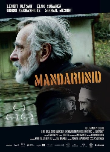 Мандарины / Mandariinid (2013) BDScreener