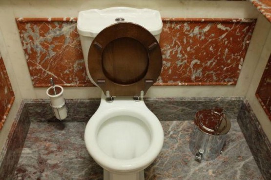 Роскошный общественный туалет в Москве 