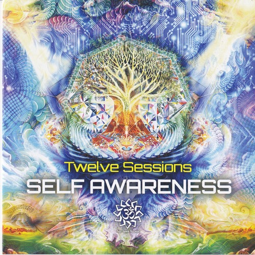 Twelve Sessions - Self Awareness (2013) FLAC