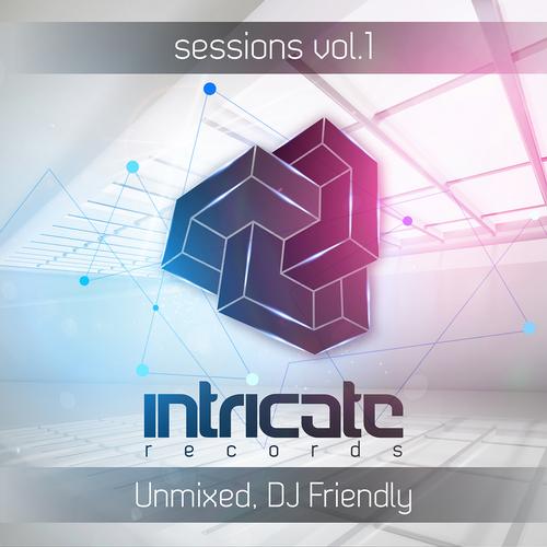 Intricate Sessions Volume 01 (Unmixed, Dj Friendly) (2013)