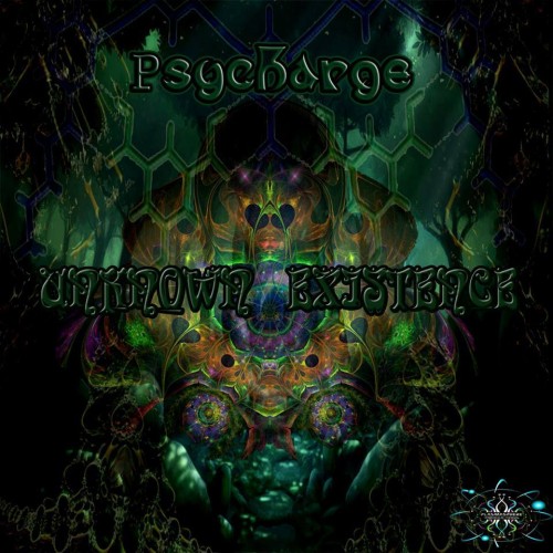 Psycharge - Unknown Existence (2013) FLAC