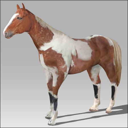 [Max] Arteria 3D Brown Horse