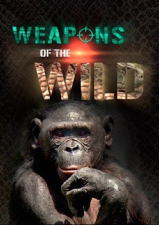  .    / Weapons of the Wild. United we Stand (2012)  SATRip (AVC)
