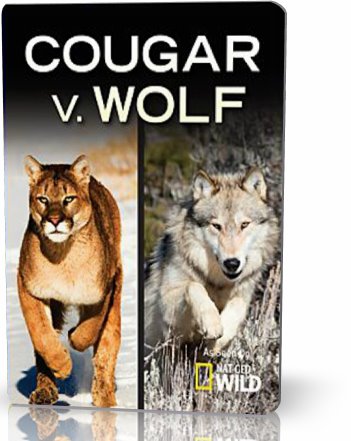 NG. Пума против волка / Cougar vs Wolf (2013) HDTV [H.264/1080i]