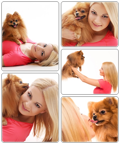 Girl with lovely dog - stock photo