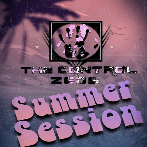 The Control Zeds - Summer Sessions (2014) FLAC