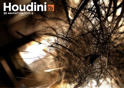SideFX Houdini FX 13.0.343