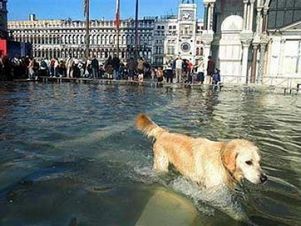 В Венеции началось наводнение
