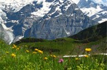Швейцария: в Альпах лучше не гулять голыми