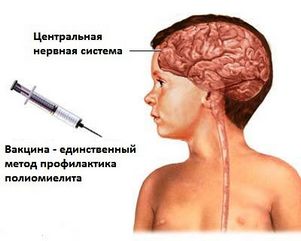 Онищенко: родители, не привившие детей от полиомиелита, рискуют их здоровьем
