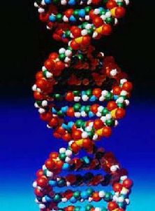 Косметика с наночастицами вызывает серьезные генетические изменения