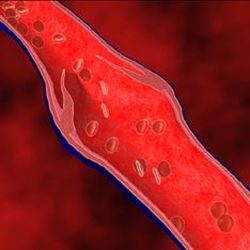 Кровеносные сосуды восстановят… бактерии