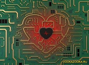 Ученые предложили использовать серце в качестве компьютерного пароля