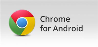 Chrome Browser - Google v40.0.2214.109 Final