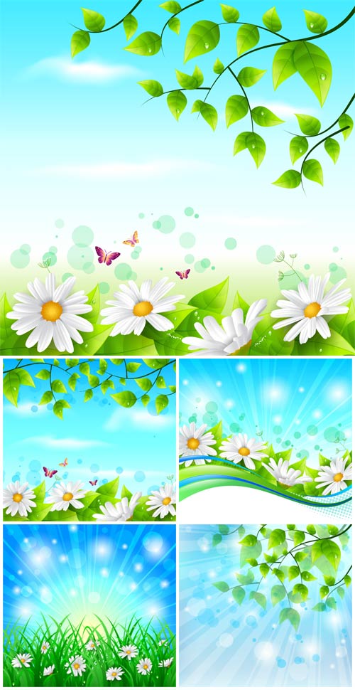 Vector backgrounds, nature, flowers and butterflies