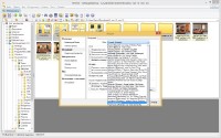 XnView 2.31 Complete (+ Portable)